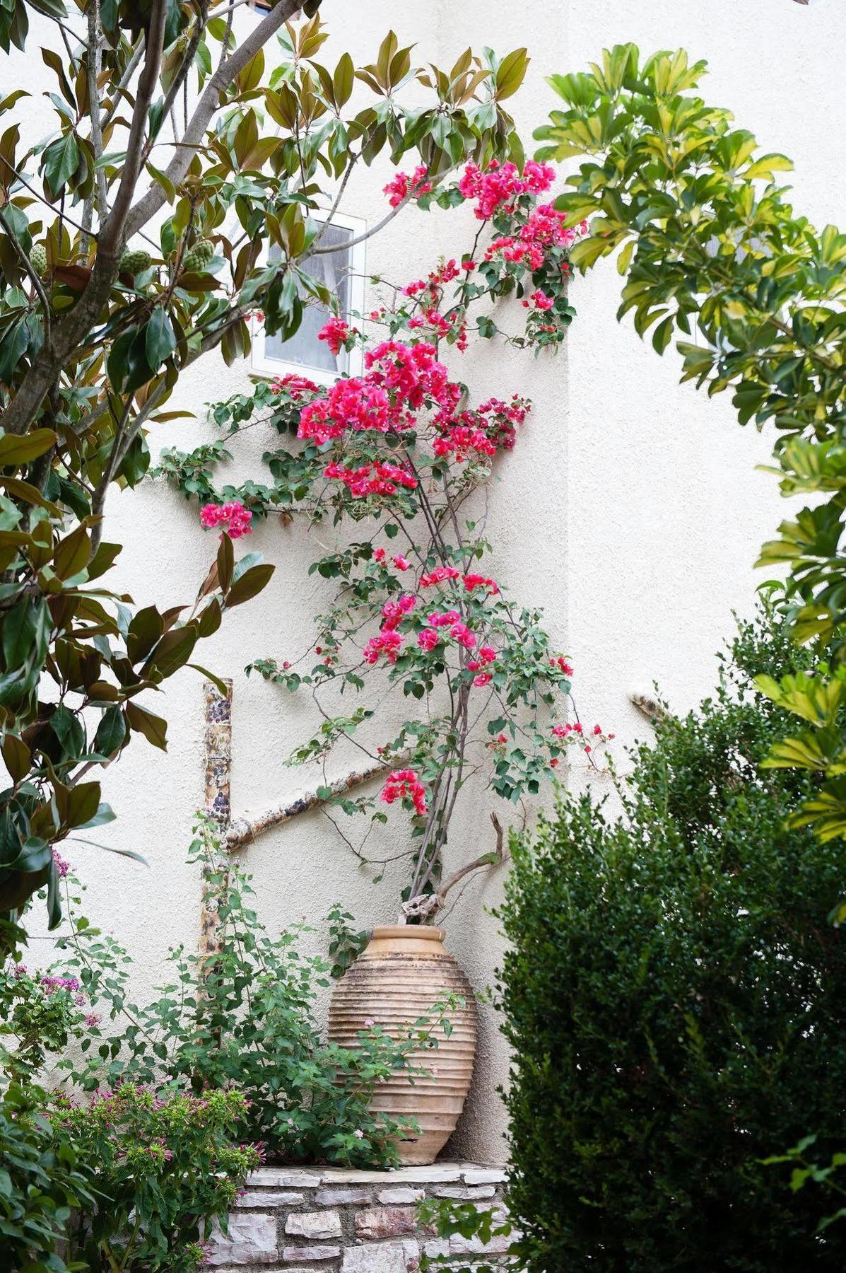 Koroni Village Dış mekan fotoğraf